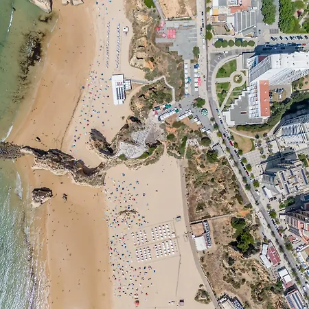 Paraiso Sol Da Rocha Bl B דירה *
